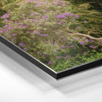 Alupanel Printing | Johnsons Of Nantwich