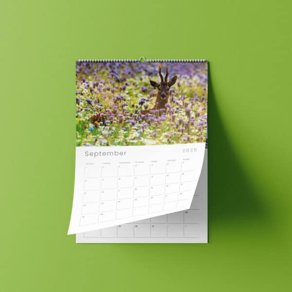 Chris Reekie deer wildlife photography calendar | Johnsons Bespoke Calendars