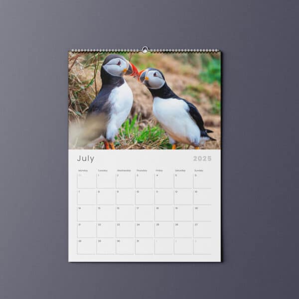 Chris Reekie puffin wildlife photography calendar | Johnsons Bespoke Calendars